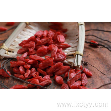 dried goji berries fruit